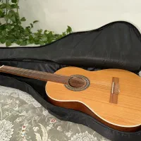 گیتار پارسی M5