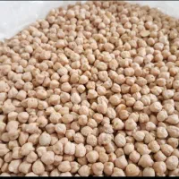 نخود فلافل کیفیت عالی