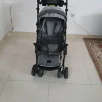 کالسکه دلیجان|کالسکه و لوازم جانبی|یزد, |دیوار