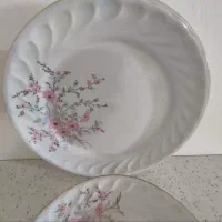 ظروف چینی قدیمی البرز و گل عروس