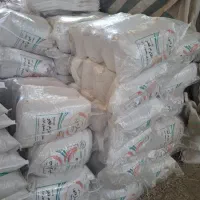 عرضه برنج های ایرانی باچک ۶ ماهه|خوردنی و آشامیدنی|ابهر, |دیوار