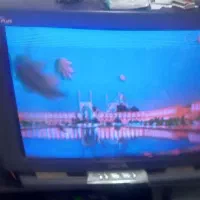 تلوزیون۲۹ اینچ