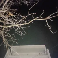 ویلایی ۱۷۰مترکوچه اداره بازرگانی