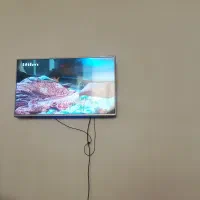 تلویزیون ال جی 43 کره