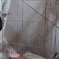 قفس پرنده