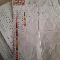 دار قالی همرا با ۲تا نقشه وان یکادو