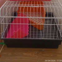 لوازم حیوانات