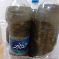 خیارشور خونگی