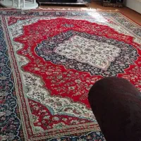 اجاره روزانه بیش از ده مورد سوییت