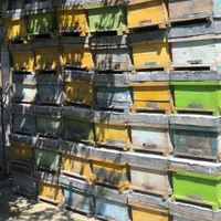 جعبه کندو چوبی زنبورعسل کارکرده