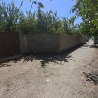 باغچه-600-متری-قدمت-دار-چهار-دیواری-پر-درخت