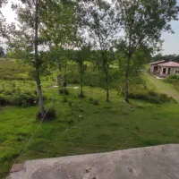 فروش زمین ۴هکتاری تو دل جنگل