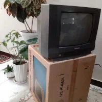 تلویزیون پاناسونیک ۱۴ اینچ|تلویزیون و پروژکتور|شاهین‌شهر, حافظ جنوبی|دیوار