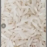 برنج فجر سوزنی پاییزه