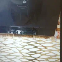 هود آریو