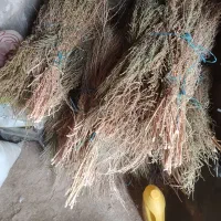 جارو