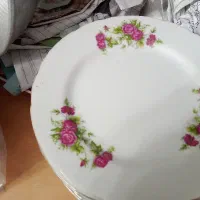 بشقاب پیش دستی وپلو خوری گلسرخی و دو عدد پیاله دیس