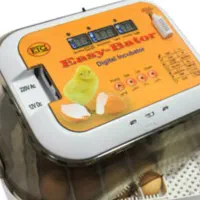 دستگاه جوجه کشی ایزی پاتور ۶|لوازم جانبی حیوانات|گرگان, |دیوار