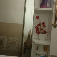 روشویی وآینه وکمد|لوازم سرویس بهداشتی|قرچک, میرزائی شمالی|دیوار