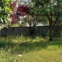 فروش ویلاباغ ۷۵۰متری سندداردرمنطقه جنگلی امل|فروش خانه و ویلا|امامزاده عبدالله, |دیوار