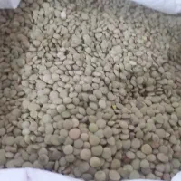 عدس|عمده‌فروشی|مشگین شهر, |دیوار