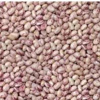 لوبیا چیتی تمیز وخوب