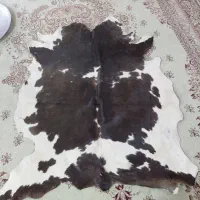 فرش و گیلیم و پوست گاو|فرش|اصفهان, آزادان|دیوار