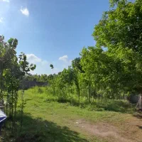 زمین صنعتی الماس نایاب/فول امکانات/قیمت استثنایی|فروش دفتر صنعتی، کشاورزی، تجاری|لاهیجان, حزین|دیوار