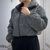 کاپشن مموری سلیکونی ، عمده زیر فیی