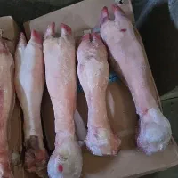 پاچه گوساله