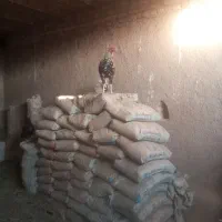 خروس زابلی