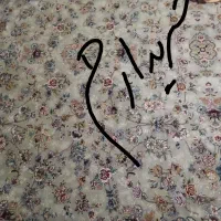 فرش ۱۲ متری دو عدد