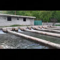 اجاره پرورش ماهی ۲۰ تنی|اجارهٔ دفتر صنعتی، کشاورزی، تجاری|بروجرد, |دیوار