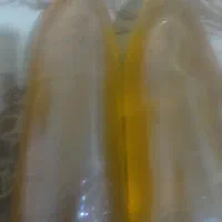 عسل وحشی و طبیعی