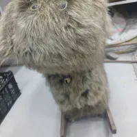 راکر‌ بچه برای فروش