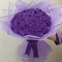 رز بنفش