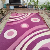 گلیم فرش|گلیم، جاجیم، گبه|فسا, |دیوار