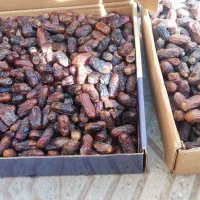 ضایعات خرما