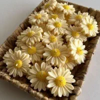 شمع دستساز گل مارگاریت بابونه گیفت عروس|صنایع دستی و سایر لوازم تزئینی|شیراز, قدوسی شرقی|دیوار