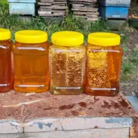 فروش عسل صددرصد طبیعی و جنگلی|خوردنی و آشامیدنی|چمستان, |دیوار