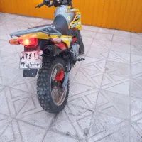 تریل پیشرو گلد