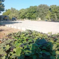 بلوک دیواری ۲۰در۴۰