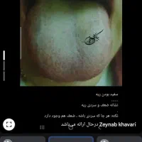 زبانشناسی ودرآمد زایی  برای بانوان