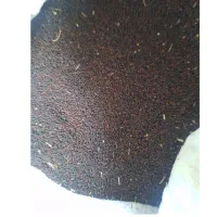 ‌گندم‌وکلزا‌بذری‌‌‌درجه‌یک‌۲۵۰هزار‌تومن
