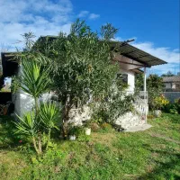 خونه-روستایی500متری-فقط-پول-زمین-زیر-قیمت-فی