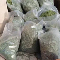 یونجه خرگوش جونده|لوازم جانبی حیوانات|مشهد, حجاب (شهرک غرب)|دیوار