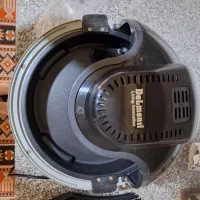 سرخ کن رژیمی