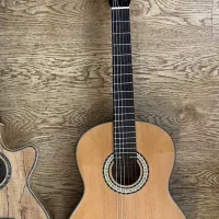 گیتار بست فان e150