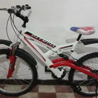 دوچرخه ۲۶ دنندیی|فعالیت داوطلبانه|شیراز, مسلم|دیوار