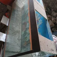 اکواریوم ماهی